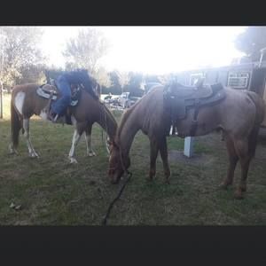 Meet your Posher, Jaden